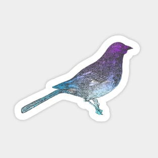 Gorgeous sitting vintage bird illustration with watercolour effect Sticker